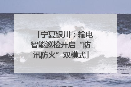 宁夏银川：输电智能巡检开启“防汛防火”双模式