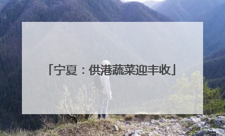 宁夏：供港蔬菜迎丰收