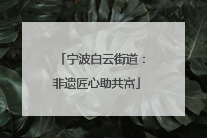 宁波白云街道：非遗匠心助共富