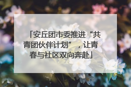 安丘团市委推进“共青团伙伴计划”，让青春与社区双向奔赴