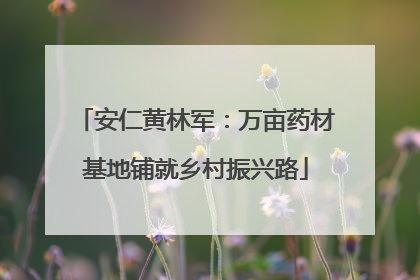 安仁黄林军：万亩药材基地铺就乡村振兴路