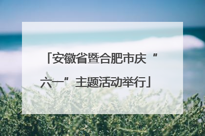 安徽省暨合肥市庆“六一”主题活动举行
