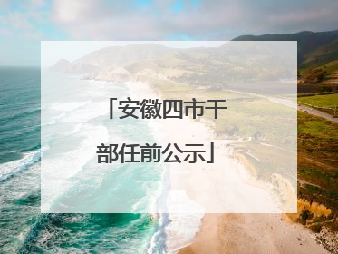 安徽四市干部任前公示