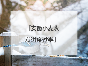 安徽小麦收获进度过半