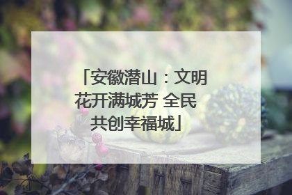 安徽潜山：文明花开满城芳 全民共创幸福城