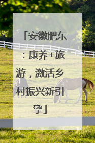 安徽肥东：康养+旅游，激活乡村振兴新引擎