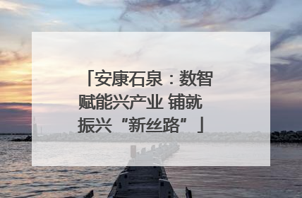 安康石泉：数智赋能兴产业 铺就振兴“新丝路”