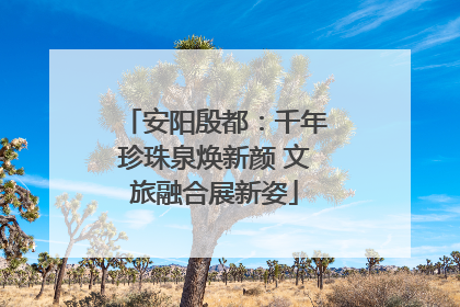 安阳殷都：千年珍珠泉焕新颜 文旅融合展新姿