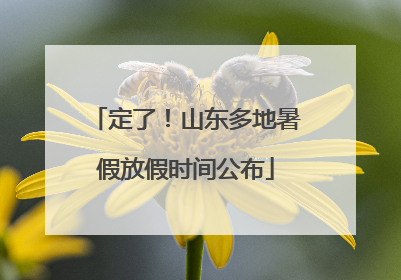 定了！山东多地暑假放假时间公布