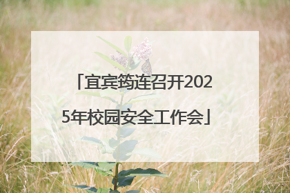 宜宾筠连召开2025年校园安全工作会