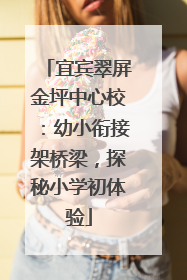 宜宾翠屏金坪中心校：幼小衔接架桥梁，探秘小学初体验