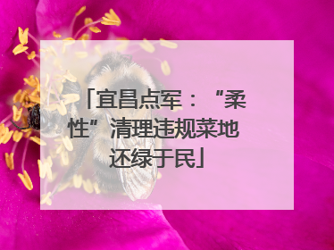 宜昌点军：“柔性”清理违规菜地 还绿于民