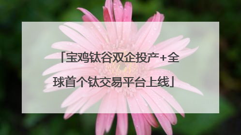 宝鸡钛谷双企投产+全球首个钛交易平台上线