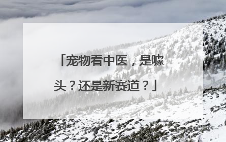 宠物看中医，是噱头？还是新赛道？