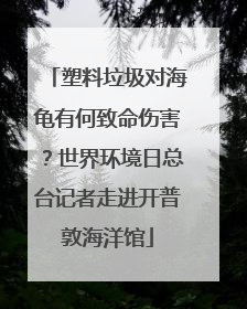 塑料垃圾对海龟有何致命伤害？世界环境日总台记者走进开普敦海洋馆
