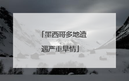 墨西哥多地遭遇严重旱情