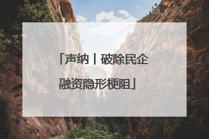 声纳丨破除民企融资隐形梗阻