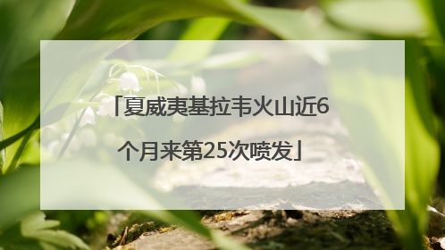 夏威夷基拉韦火山近6个月来第25次喷发