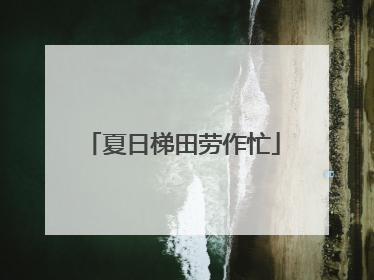 夏日梯田劳作忙