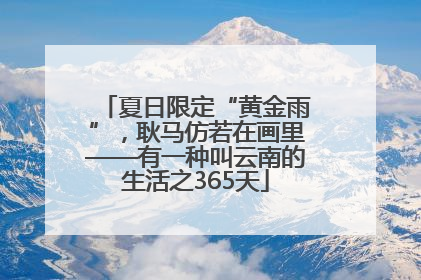 夏日限定“黄金雨”，耿马仿若在画里——有一种叫云南的生活之365天