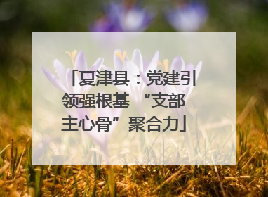 夏津县：党建引领强根基 “支部主心骨”聚合力