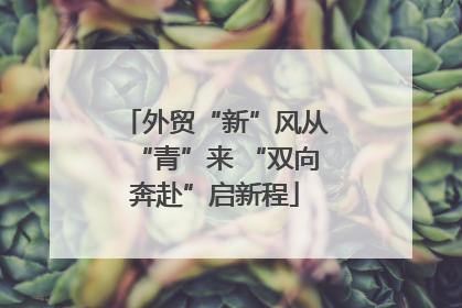 外贸“新”风从“青”来 “双向奔赴”启新程