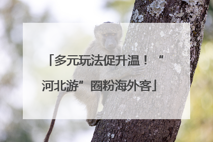 多元玩法促升温！“河北游”圈粉海外客