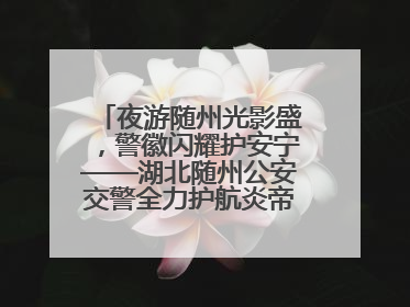 夜游随州光影盛，警徽闪耀护安宁——湖北随州公安交警全力护航炎帝故里寻根节夜游活动侧记