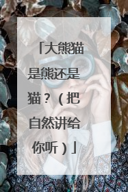 大熊猫是熊还是猫？（把自然讲给你听）
