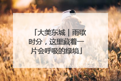 大美东城｜雨歇时分，这里藏着一片会呼吸的绿境