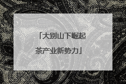 大别山下崛起茶产业新势力