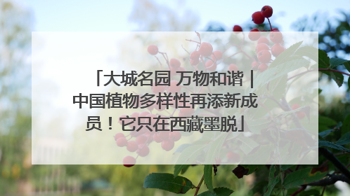 大城名园 万物和谐｜中国植物多样性再添新成员！它只在西藏墨脱