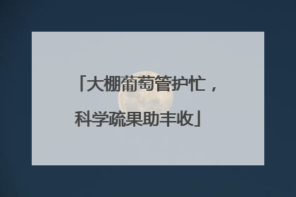 大棚葡萄管护忙，科学疏果助丰收