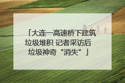 大连一高速桥下建筑垃圾堆积 记者采访后垃圾神奇“消失”