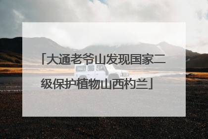 大通老爷山发现国家二级保护植物山西杓兰