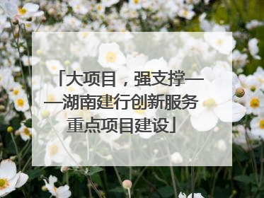 大项目，强支撑——湖南建行创新服务重点项目建设