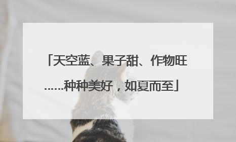 天空蓝、果子甜、作物旺……种种美好，如夏而至