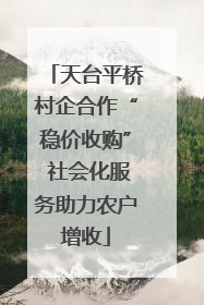 天台平桥村企合作“稳价收购” 社会化服务助力农户增收