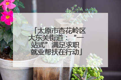 太原市杏花岭区大东关街道：“一站式”满足求职 就业帮扶在行动