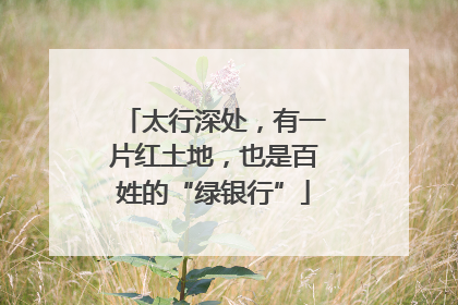 太行深处，有一片红土地，也是百姓的“绿银行”