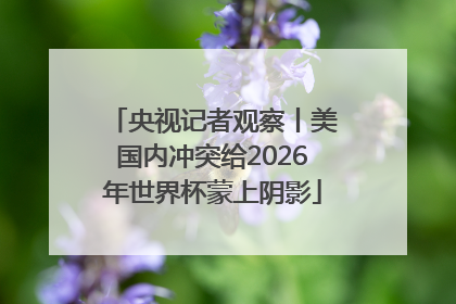 央视记者观察丨美国内冲突给2026年世界杯蒙上阴影