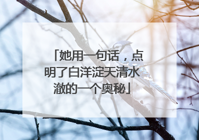 她用一句话，点明了白洋淀天清水澈的一个奥秘