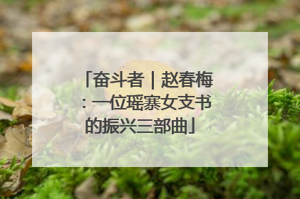 奋斗者｜赵春梅：一位瑶寨女支书的振兴三部曲