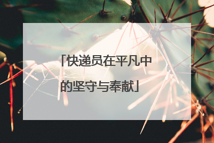 快递员在平凡中的坚守与奉献
