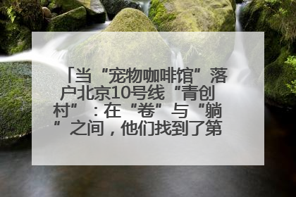 当“宠物咖啡馆”落户北京10号线“青创村”：在“卷”与“躺”之间，他们找到了第三种生活公式