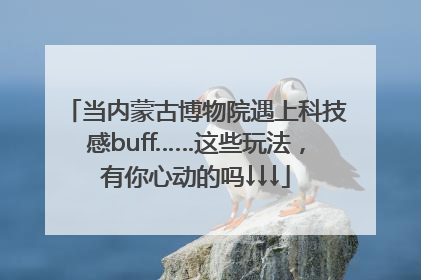当内蒙古博物院遇上科技感buff……这些玩法，有你心动的吗↓↓↓