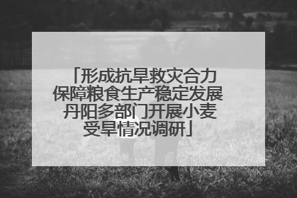 形成抗旱救灾合力 保障粮食生产稳定发展 丹阳多部门开展小麦受旱情况调研