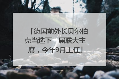 德国前外长贝尔伯克当选下一届联大主席，今年9月上任