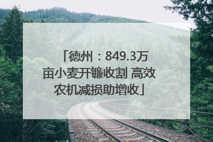 德州：849.3万亩小麦开镰收割 高效农机减损助增收