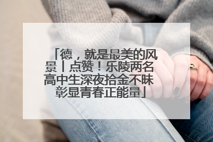 德，就是最美的风景丨点赞！乐陵两名高中生深夜拾金不昧 彰显青春正能量